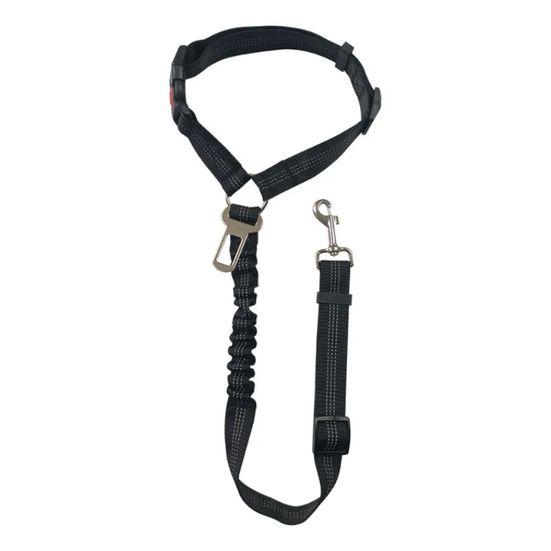 Cinturón de seguridad para perros