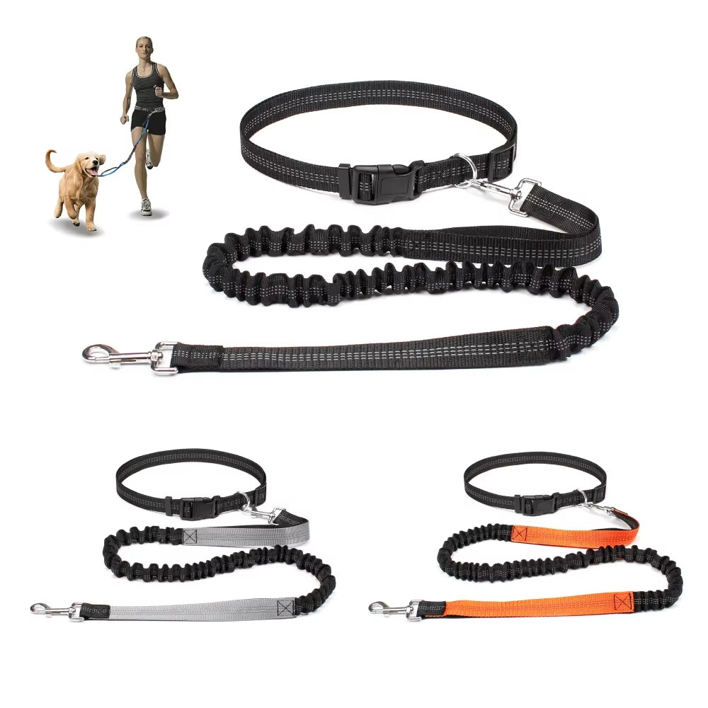 Correa manos libres para perro con cinturón ajustable, para correr y pasear
