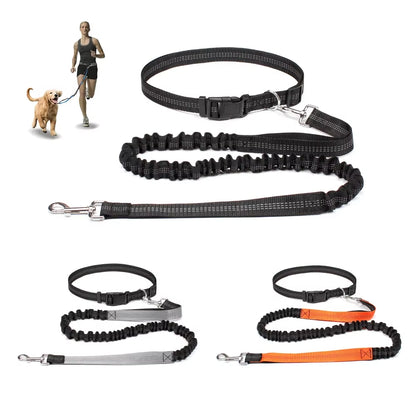 Correa manos libres para perro con cinturón ajustable, para correr y pasear