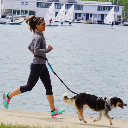 Correa manos libres para perro con cinturón ajustable, para correr y pasear
