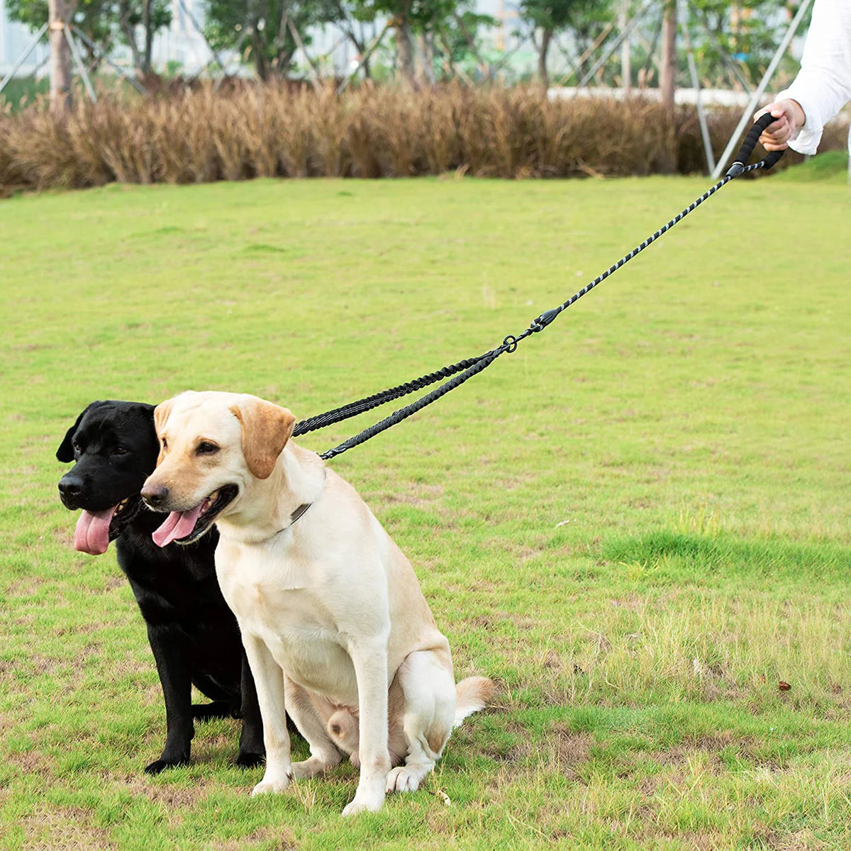 Correa doble para pasear dos perros, sin enredos, con amortiguador elástico y mango acolchado