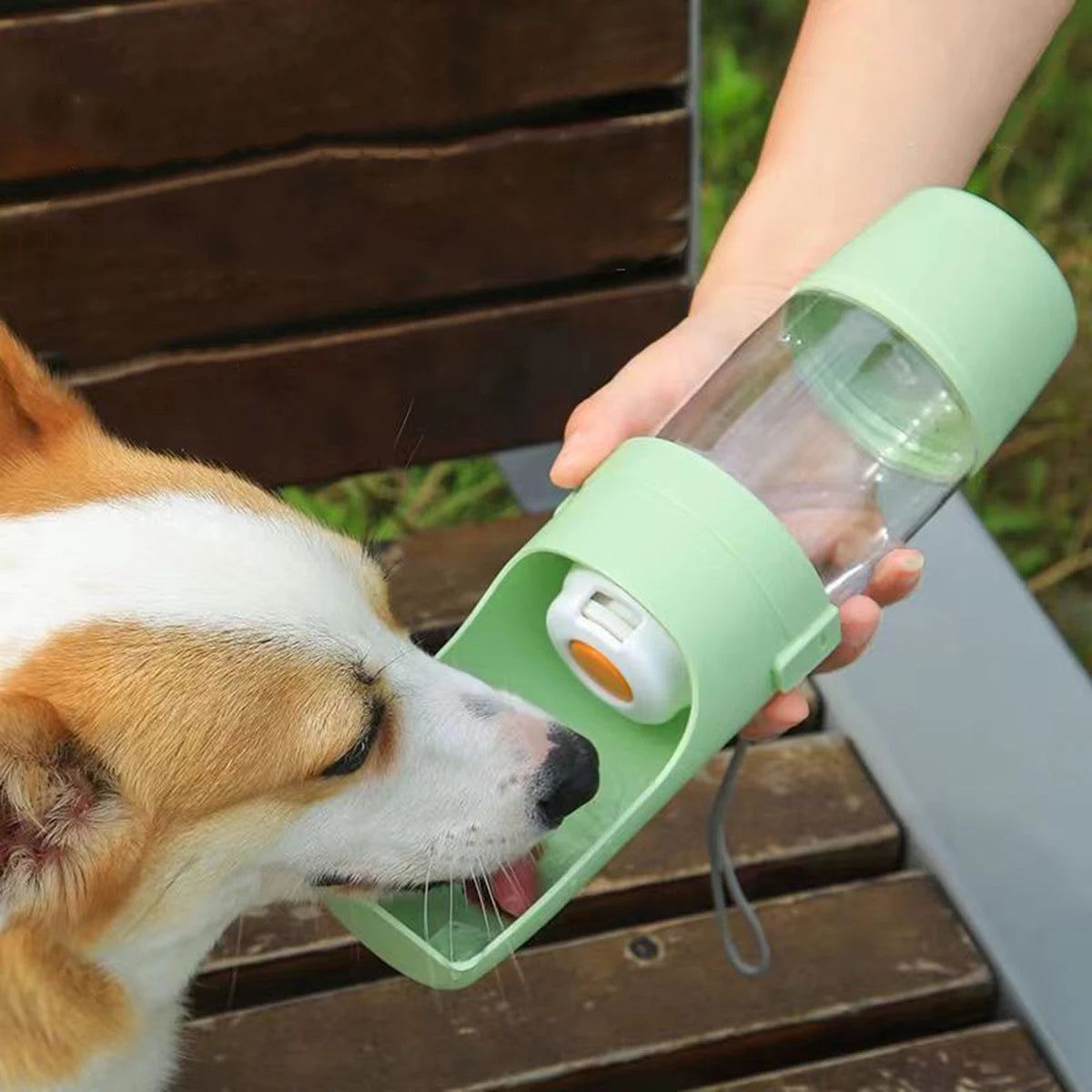Botella de agua y comida para perros y gatos
