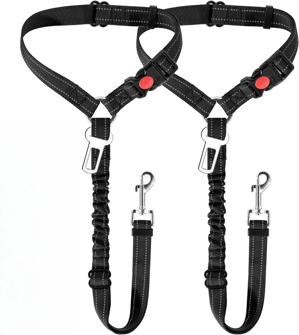 Cinturón de seguridad para perros