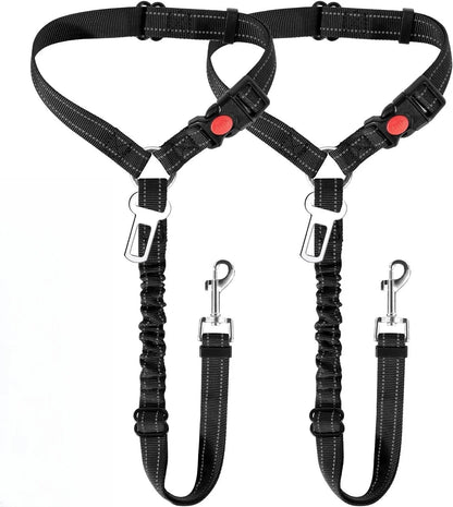Cinturón de seguridad para perros