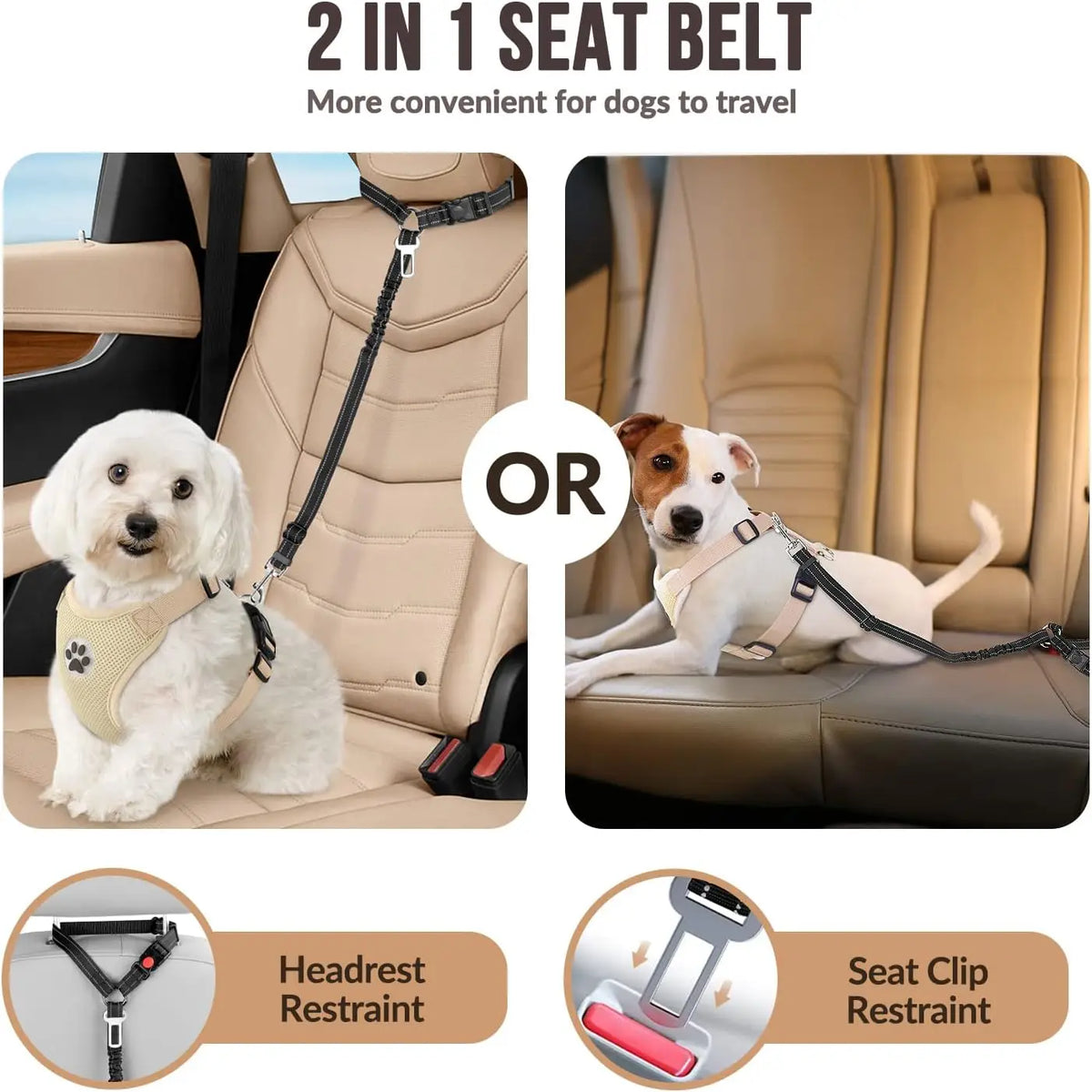 Cinturón de seguridad para perros